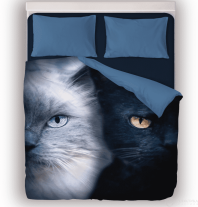 Фотография Постельное бельё Белый и Чёрный коты