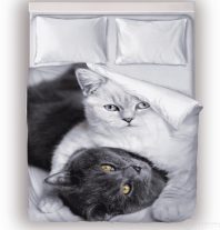 Фотография Постельное белье Две Кошки