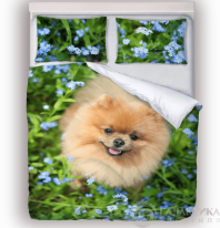 Постельное бельё со Шпицем от интернет-магазина Галактика текстиля Фото Постельное бельё со Шпицем от интернет-магазина Галактика текстиля