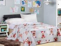 Изображение Плед Дед мороз