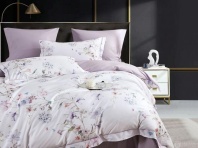 Постельное белье люкс-сатин Асабелла Нора изображение
