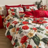 Постельное белье Египетский хлопок Красное изображение