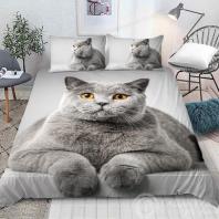 Фотография Постельное белье Кошка Голубая русская