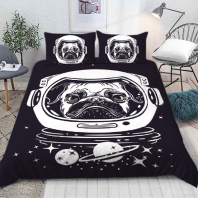 Изображение Постельное белье Etel Space 