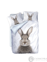 Постельное белье Заяц Хипстер изображение