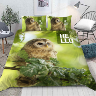 Постельное бельё Сова 3Д изображение
