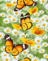 Набор Полотенец  Бабочки (3шт. в упаковке) Фото